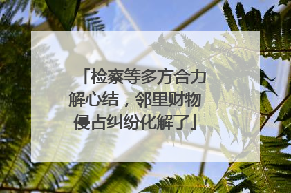 检察等多方合力解心结，邻里财物侵占纠纷化解了
