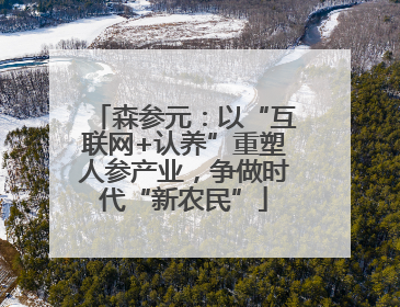 森参元：以“互联网+认养”重塑人参产业，争做时代“新农民”