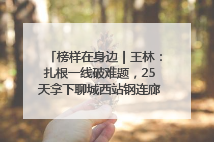 榜样在身边｜王林：扎根一线破难题，25天拿下聊城西站钢连廊“硬核”工程