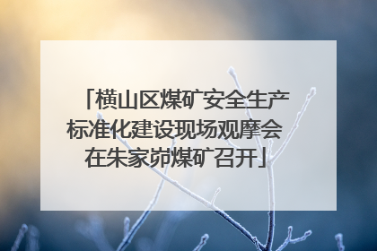 横山区煤矿安全生产标准化建设现场观摩会在朱家峁煤矿召开