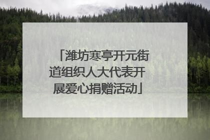 潍坊寒亭开元街道组织人大代表开展爱心捐赠活动