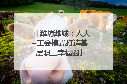潍坊潍城：人大+工会模式打造基层职工幸福圈