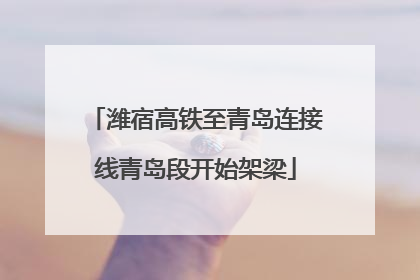 潍宿高铁至青岛连接线青岛段开始架梁
