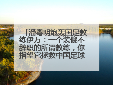 潘粤明炮轰国足教练伊万：一个装傻不辞职的所谓教练，你指望它拯救中国足球！此前曾多次发文评价国足