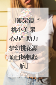 潮泉镇“桃小美·泉心办”助力梦幻桃花源项目扬帆起航