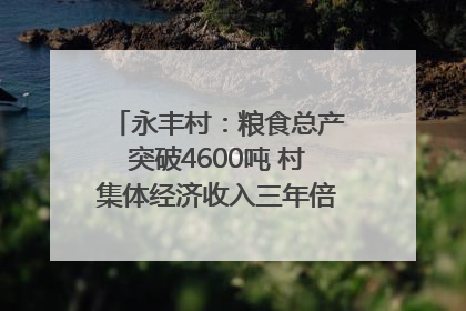 永丰村：粮食总产突破4600吨 村集体经济收入三年倍增｜牵挂的村