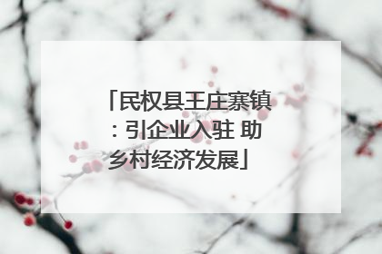 民权县王庄寨镇：引企业入驻 助乡村经济发展