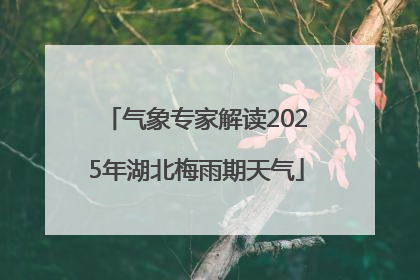 气象专家解读2025年湖北梅雨期天气