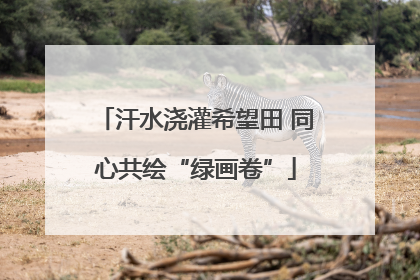 汗水浇灌希望田 同心共绘“绿画卷”