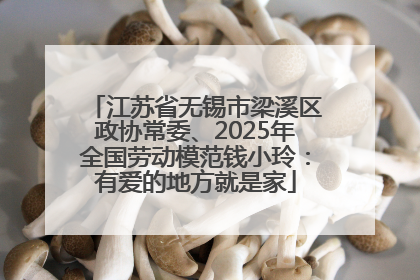 江苏省无锡市梁溪区政协常委、2025年全国劳动模范钱小玲：有爱的地方就是家