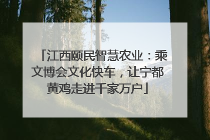 江西颐民智慧农业：乘文博会文化快车，让宁都黄鸡走进千家万户