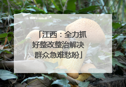 江西：全力抓好整改整治解决群众急难愁盼