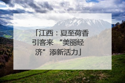 江西：夏至荷香引客来 “美丽经济”添新活力