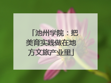 池州学院：把美育实践做在地方文旅产业里