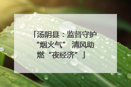 汤阴县：监督守护“烟火气” 清风助燃“夜经济”