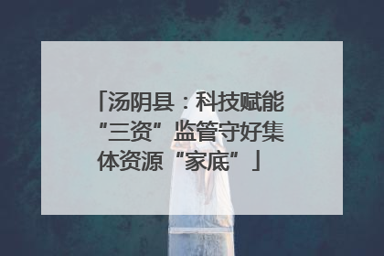 汤阴县：科技赋能“三资”监管守好集体资源“家底”