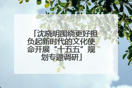沈晓明围绕更好担负起新时代的文化使命开展“十五五”规划专题调研