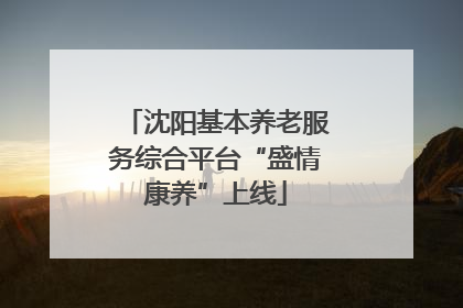 沈阳基本养老服务综合平台“盛情康养”上线