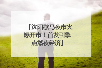 沈阳歇马夜市火爆开市！首发引擎点燃夜经济