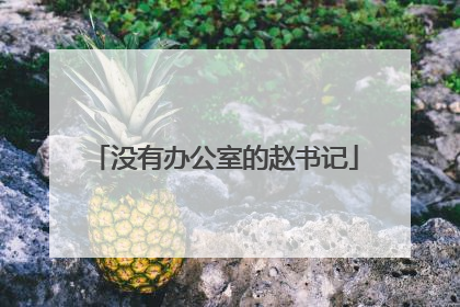 没有办公室的赵书记