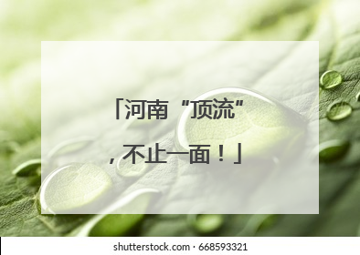河南“顶流”，不止一面！