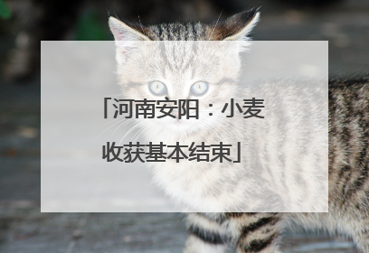 河南安阳：小麦收获基本结束