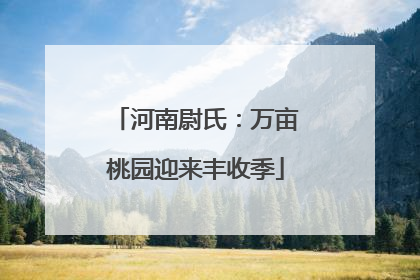 河南尉氏：万亩桃园迎来丰收季