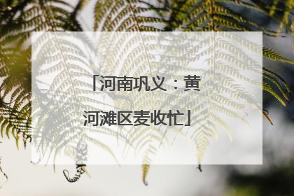 河南巩义：黄河滩区麦收忙
