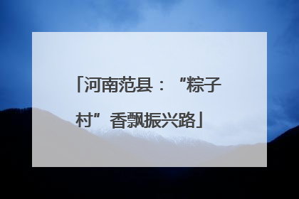 河南范县：“粽子村”香飘振兴路