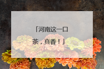 河南这一口茶，真香！