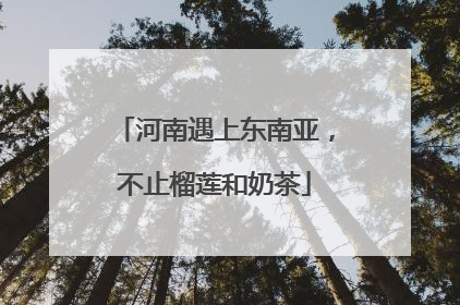 河南遇上东南亚，不止榴莲和奶茶