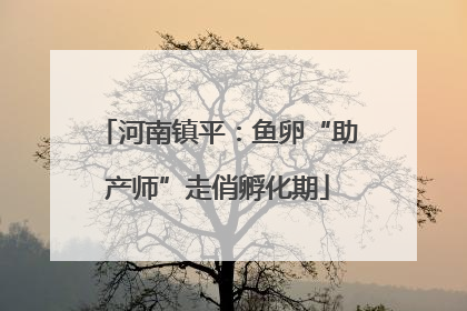 河南镇平：鱼卵“助产师”走俏孵化期