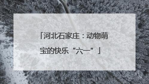 河北石家庄：动物萌宝的快乐“六一”