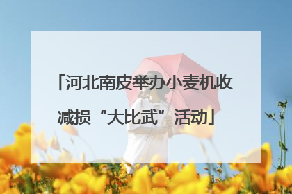 河北南皮举办小麦机收减损“大比武”活动