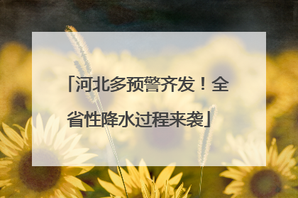 河北多预警齐发！全省性降水过程来袭