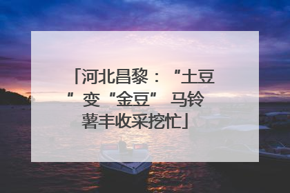 河北昌黎：“土豆”变“金豆” 马铃薯丰收采挖忙