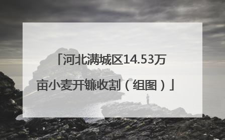 河北满城区14.53万亩小麦开镰收割（组图）