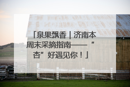 泉果飘香｜济南本周末采摘指南——“杏”好遇见你！