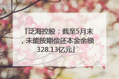 泛海控股：截至5月末，未能按期偿还本金余额328.13亿元
