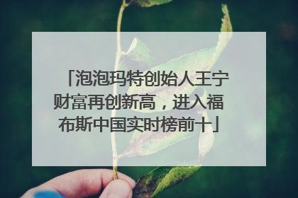 泡泡玛特创始人王宁财富再创新高，进入福布斯中国实时榜前十