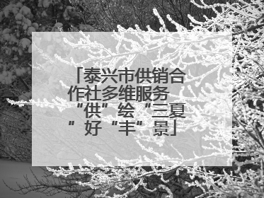 泰兴市供销合作社多维服务 “供”绘“三夏”好“丰”景