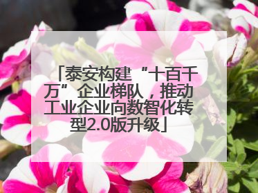 泰安构建“十百千万”企业梯队，推动工业企业向数智化转型2.0版升级