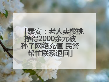 泰安：老人卖樱桃挣得2000余元被孙子网络充值 民警帮忙联系退回