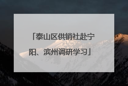 泰山区供销社赴宁阳、滨州调研学习