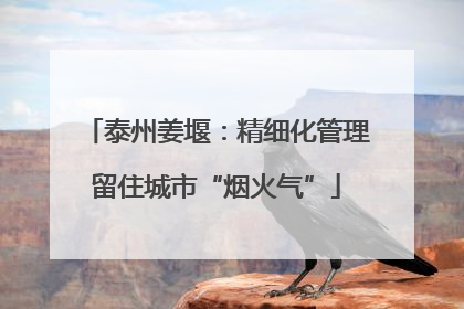 泰州姜堰：精细化管理留住城市“烟火气”