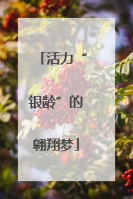 活力“银龄”的翱翔梦