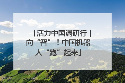 活力中国调研行｜向“智”！中国机器人“跑”起来