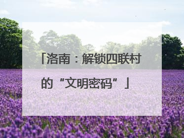 洛南：解锁四联村的“文明密码”