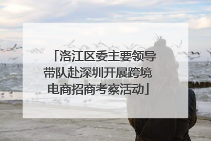 洛江区委主要领导带队赴深圳开展跨境电商招商考察活动