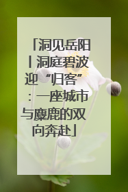 洞见岳阳丨洞庭碧波迎“归客”：一座城市与麋鹿的双向奔赴